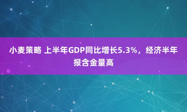 小麦策略 上半年GDP同比增长5.3%，经济半年报含金量高