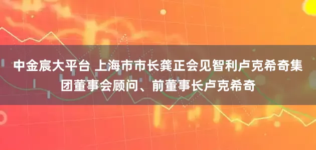 中金宸大平台 上海市市长龚正会见智利卢克希奇集团董事会顾问、前董事长卢克希奇