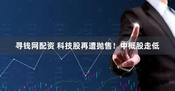 寻钱网配资 科技股再遭抛售！中概股走低